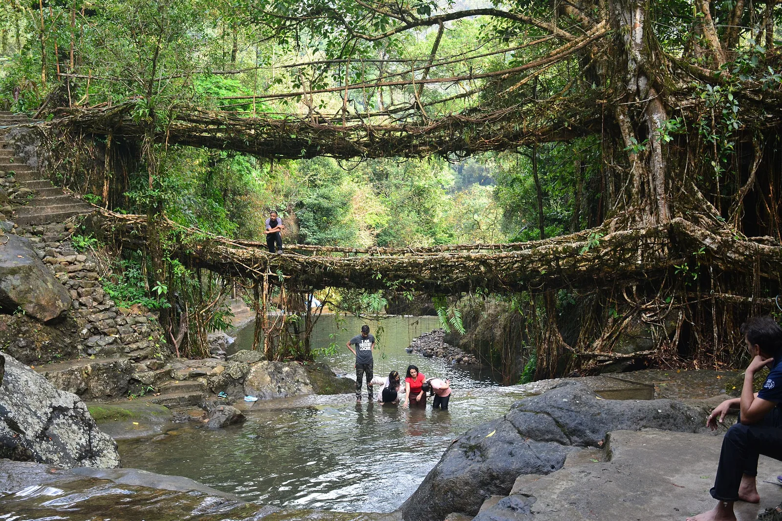 Meghalaya, Root bridges & clear rivers