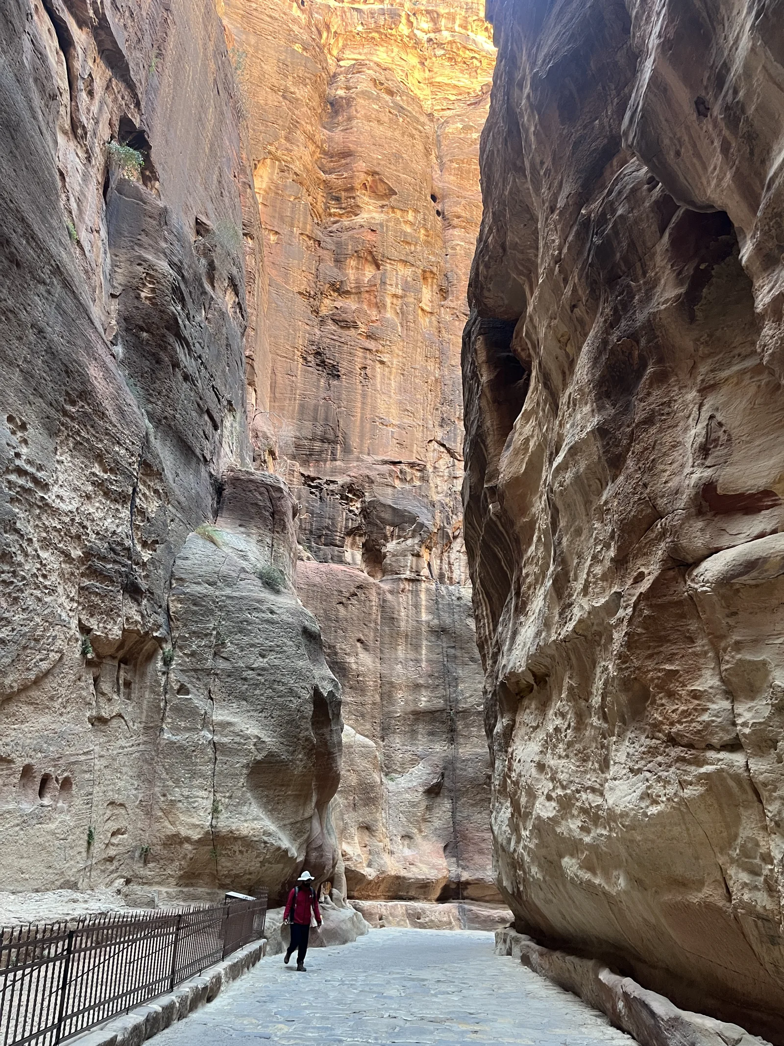 In the Siq, Petra, Jordan
